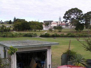 Boundary trees before pruning