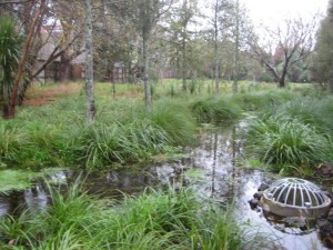 img_4819-comp