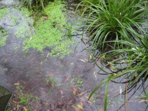 img_4820-comp1