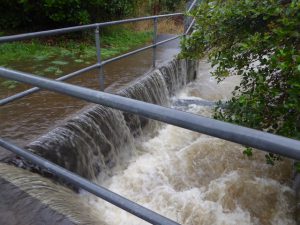 Haverstock Rd outfall